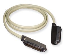 ICC - 25 Pair Male Male Amp 10'