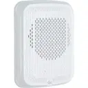 ai-image-1791996170240.webp