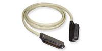 25 Pair Amphenol Patch Cables