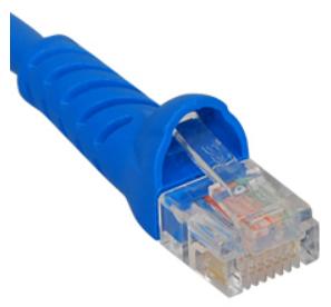 TRISTATE - Patch Cord CAT 5e W/M Boot 6" Blue 10PK