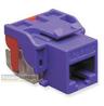 ICC - INSERT CAT 6 PURPLE EZ