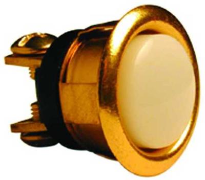 Lee Electric - Push Button Brass Lighted 5/8 "