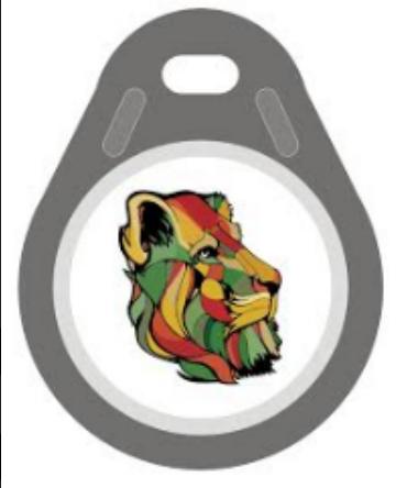 LIONBEAM - Prox Fob 125khz 25 Pack